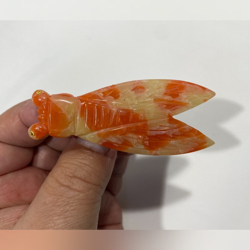 Rare, Antique 1920s,  Art Deco Bakelite Cicada Insect Brooch Pin. Made in France , yellow and orange color.