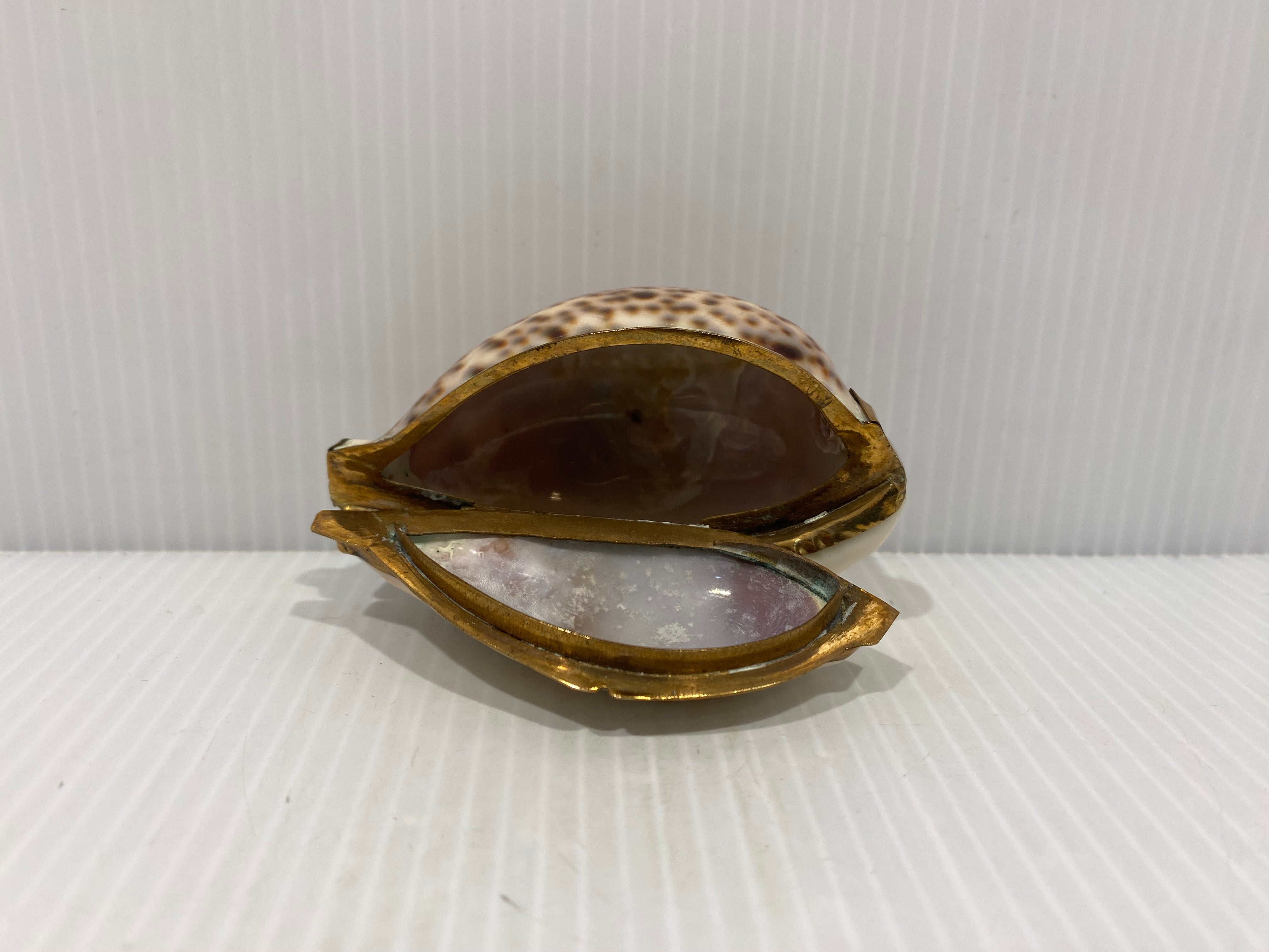 Antique  gilt-mounted Cowrie Shell Snuff Box.