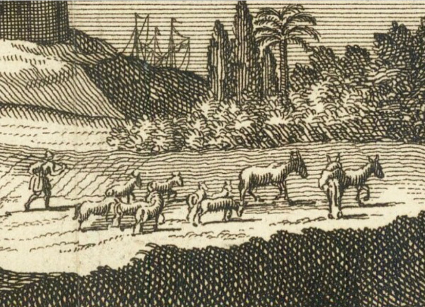 Antique Original Engraved, view of Mexico City 1720