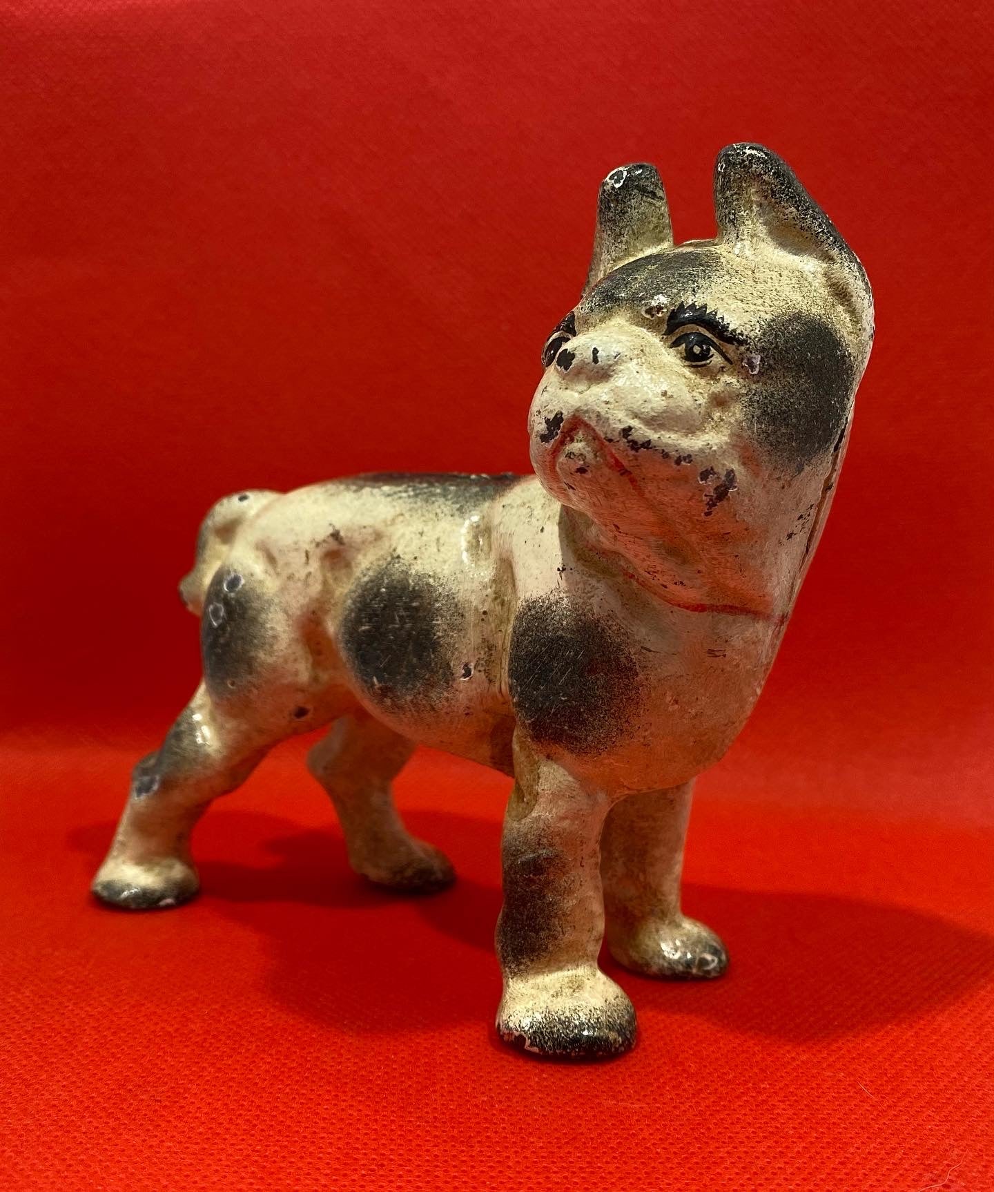 Antique, original, Cast Iron White French Bulldog seated in profile coin bank, made by Hubley 1910s Very rare piece.