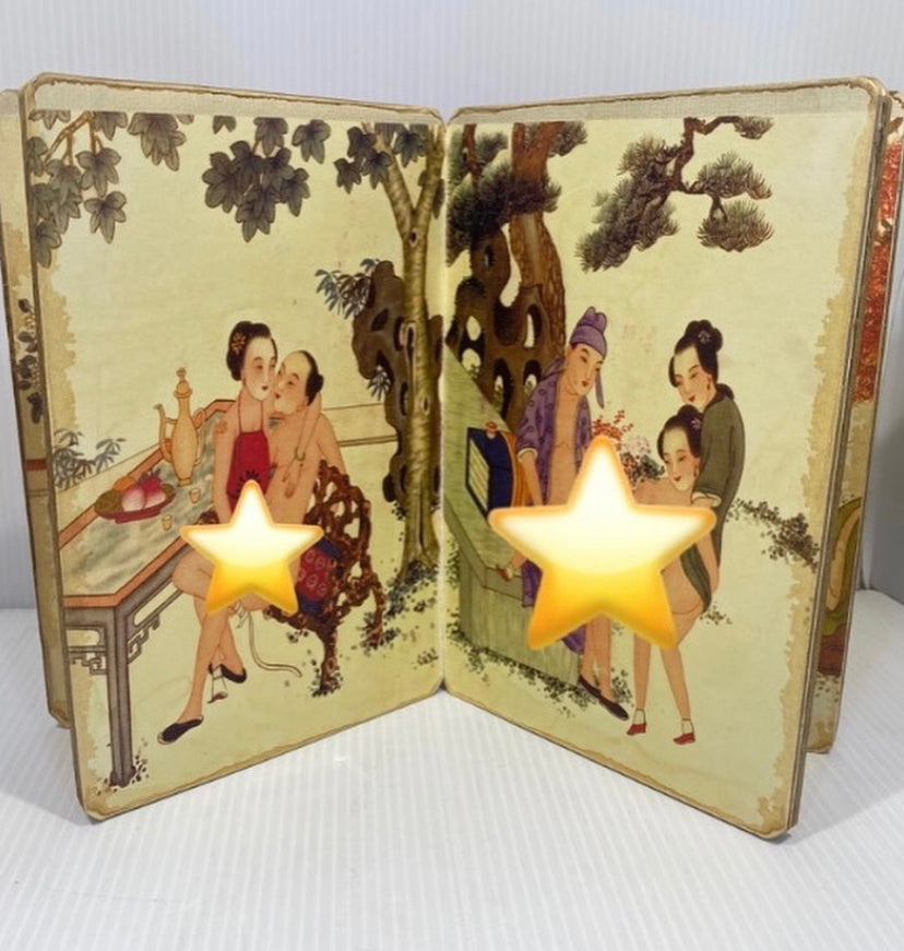 19th Century Chinese Pillow Book, Shunga