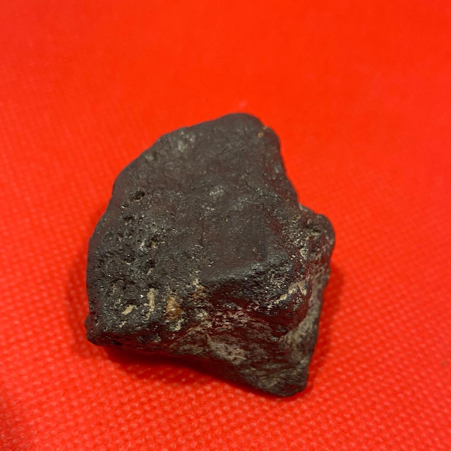 Campo del Cielo nickel iron meteorite