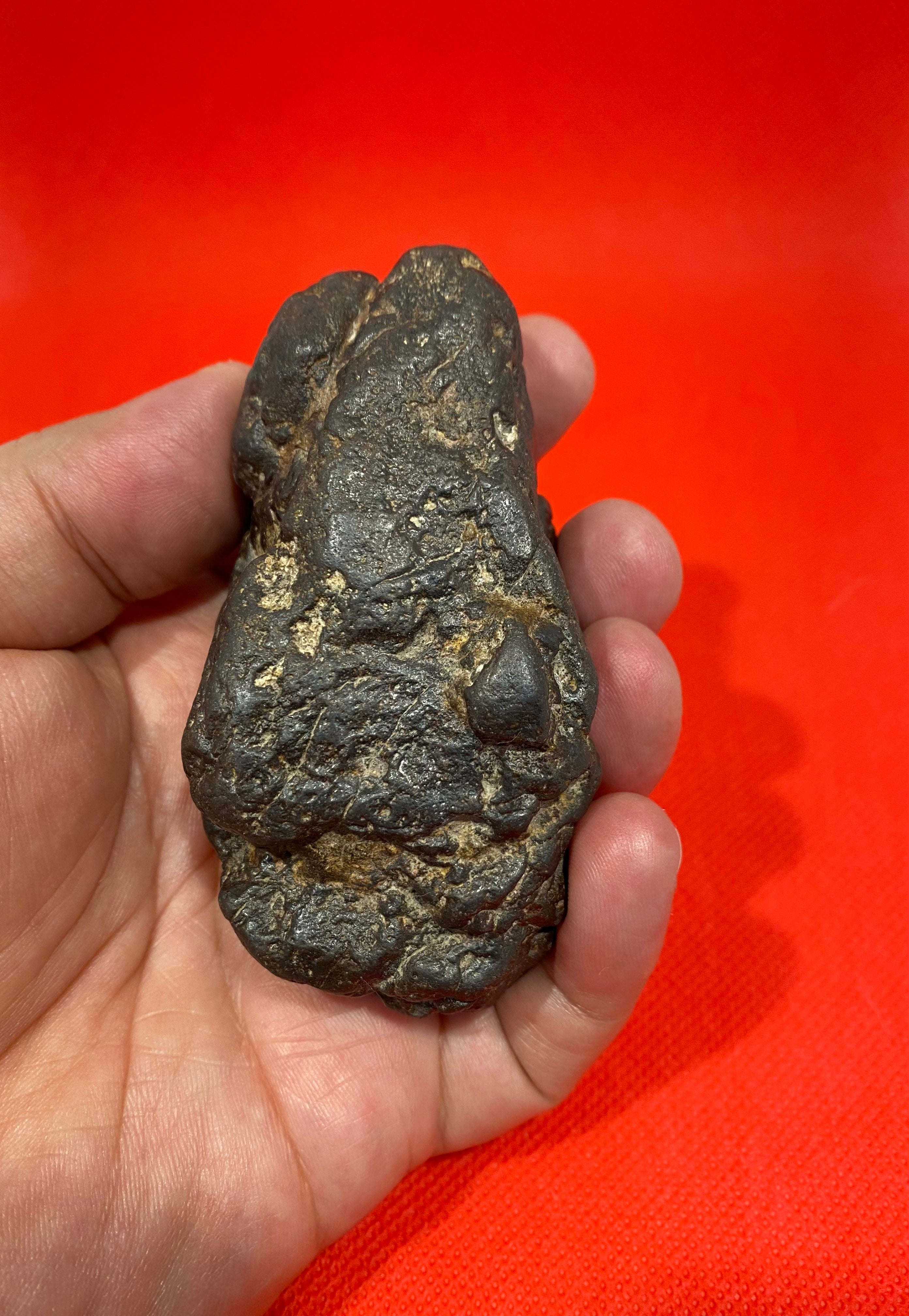 Meteorite “ campo del cielo” Argentina 370 gr.