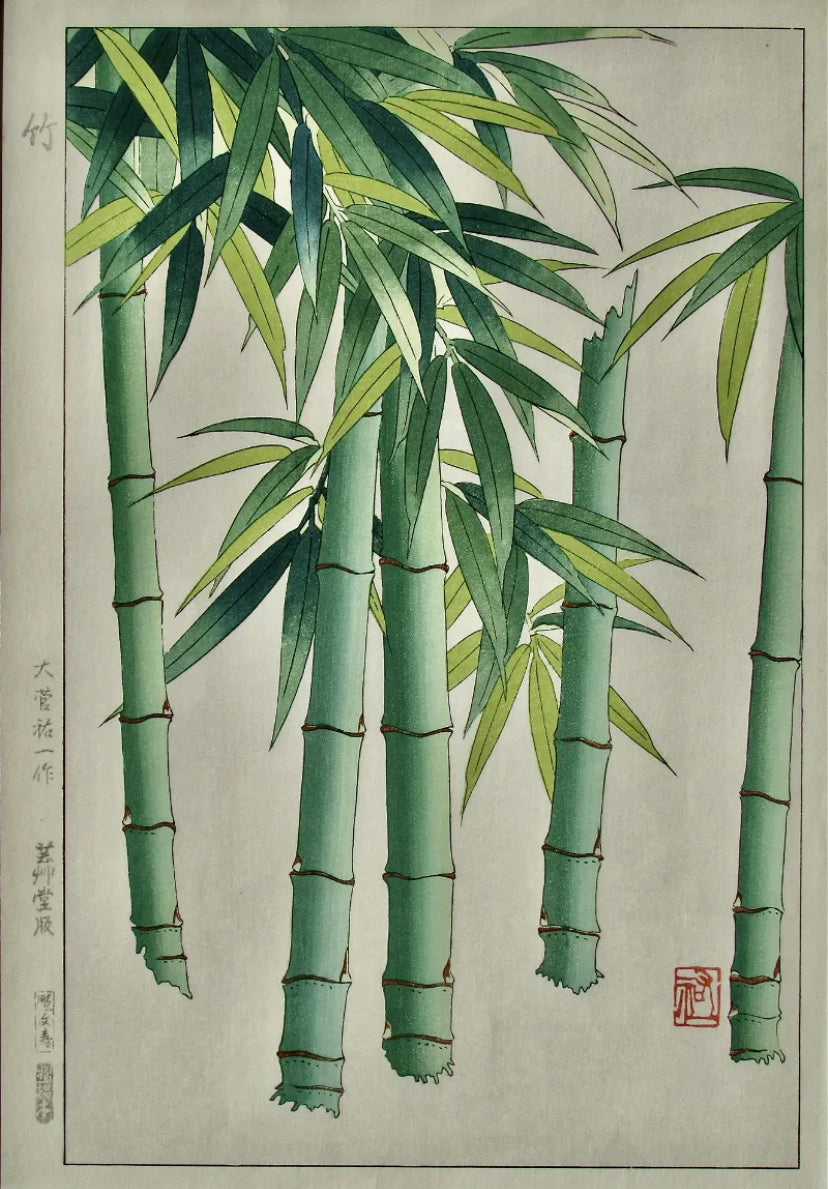 Yuichi Osuga: Bamboo 1980