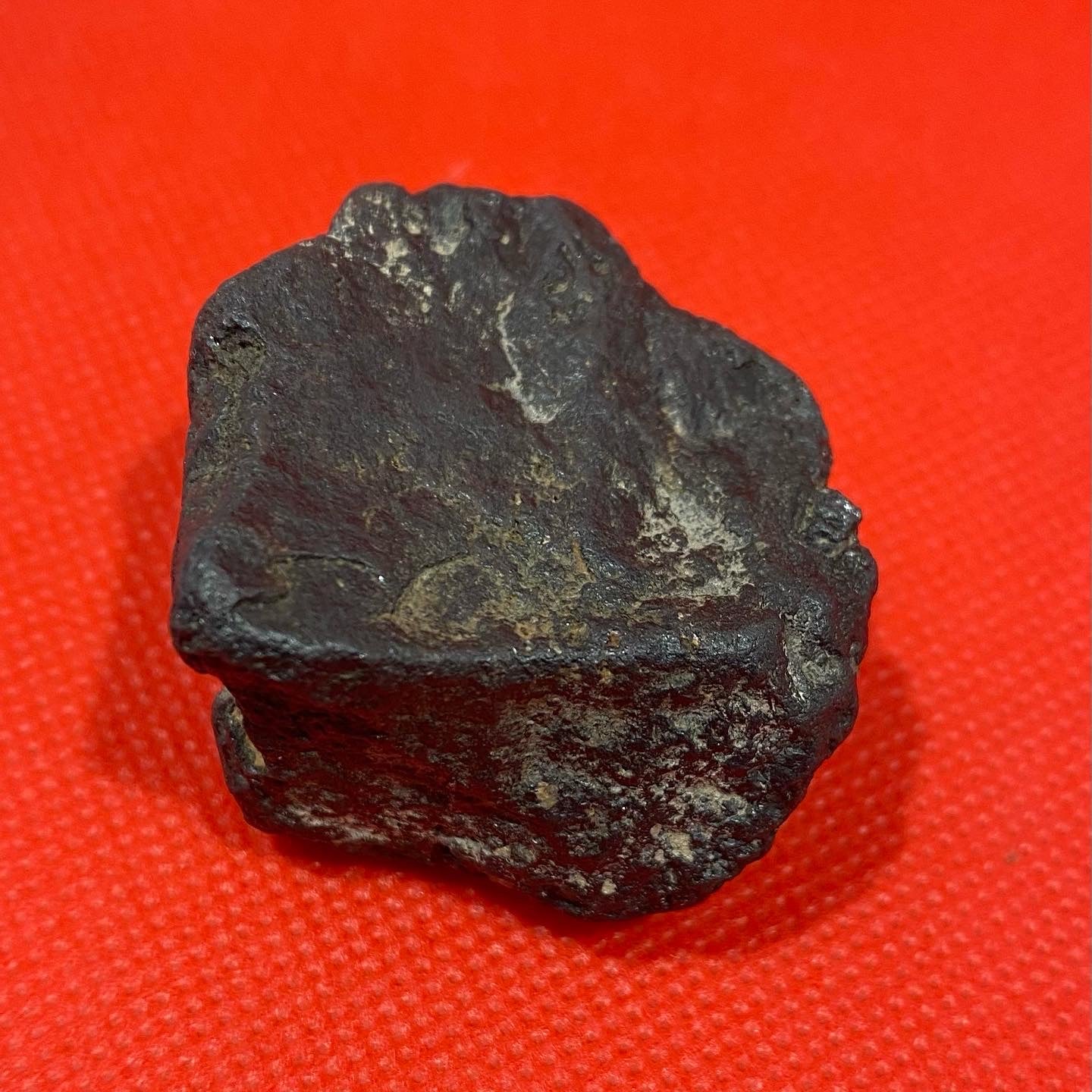 Campo del Cielo nickel iron meteorite